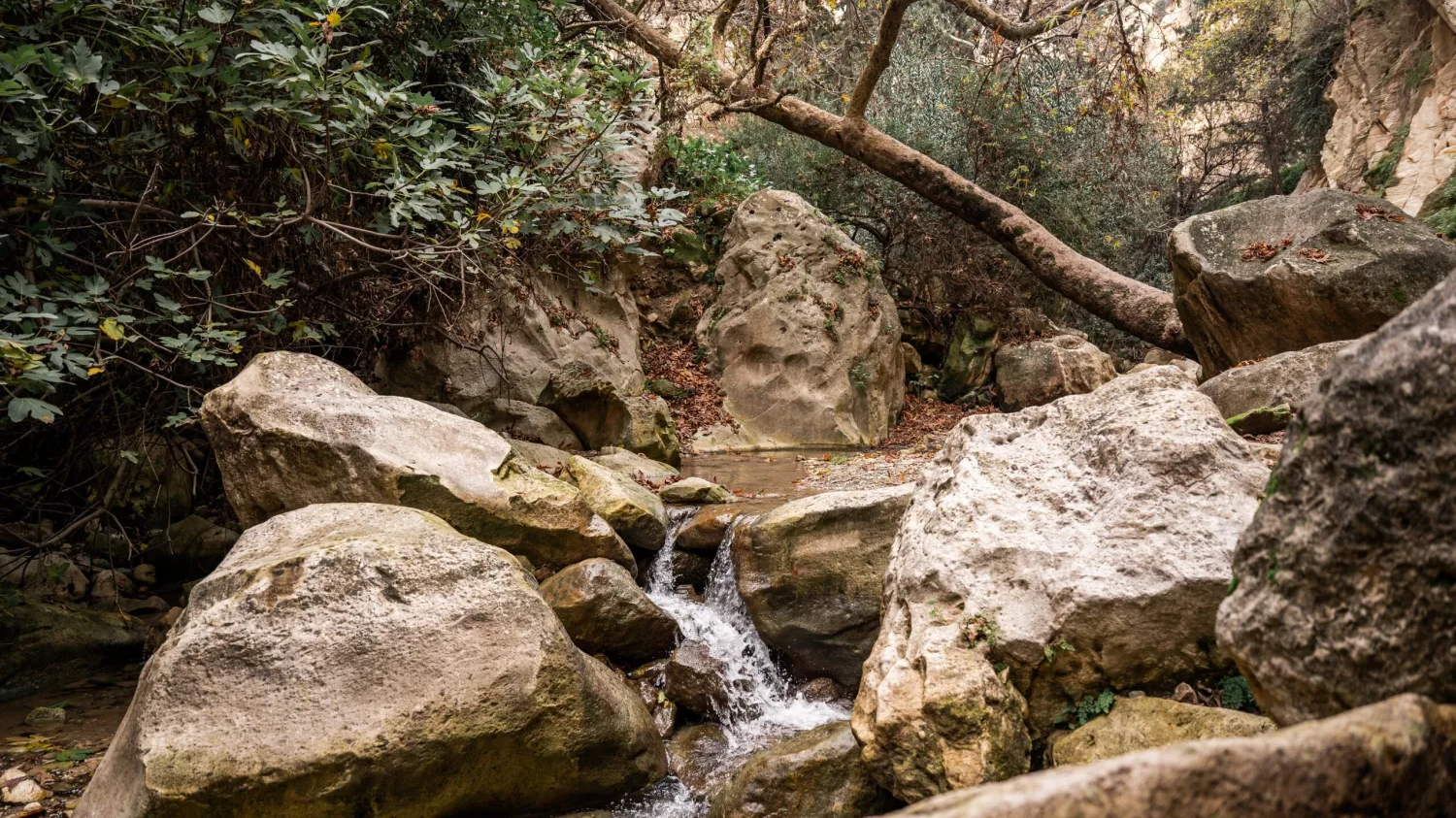 Avakas Gorge Trail