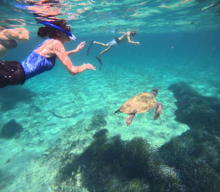 Paphos Turtle-Watching Snorkeling Tour with Guide and GoPro Videos