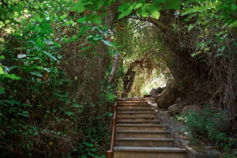 Aphrodite's Akamas Blue Lagoon Bus and Boat Tour with Slide