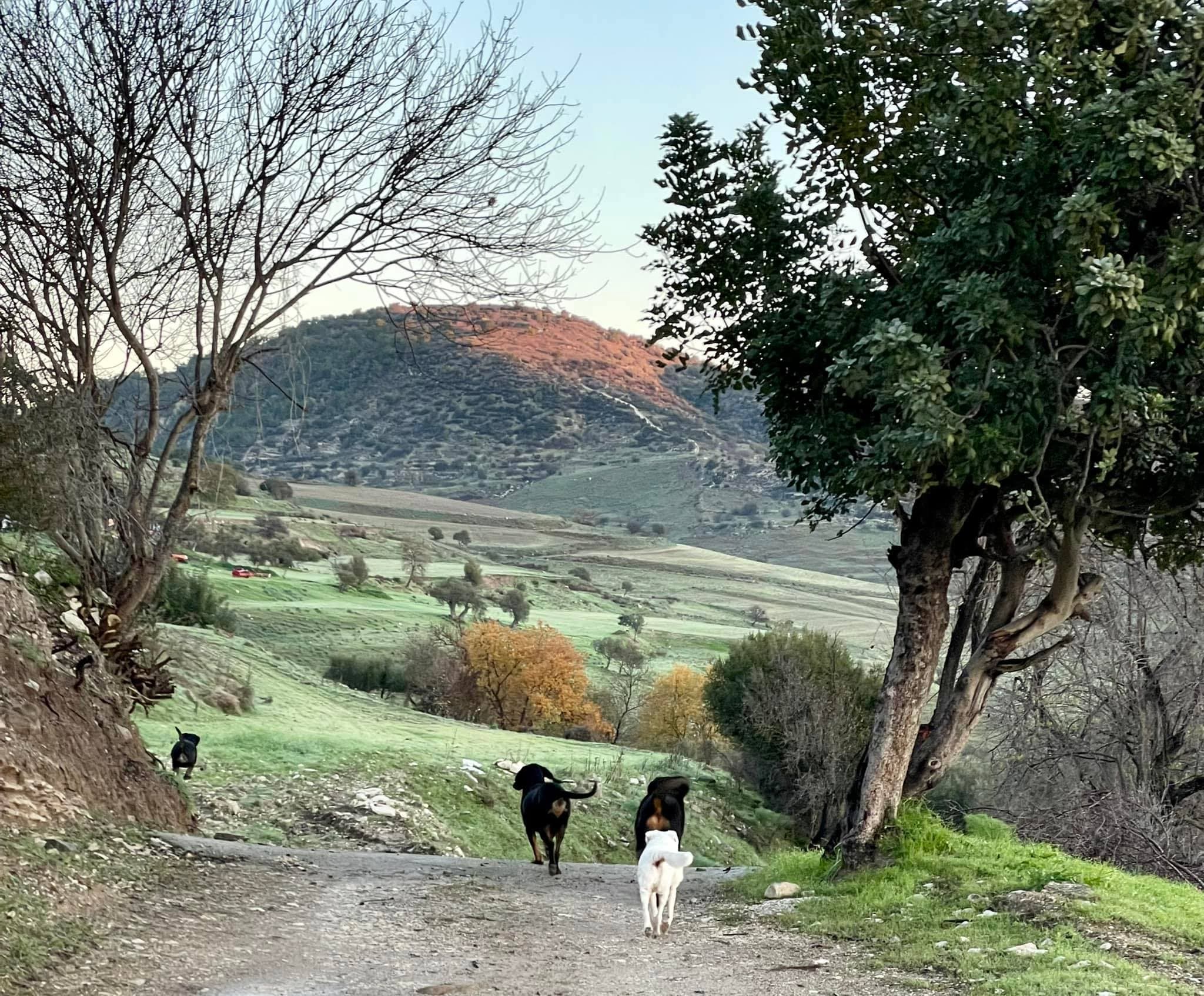 Ezousa Valley Walking Trail