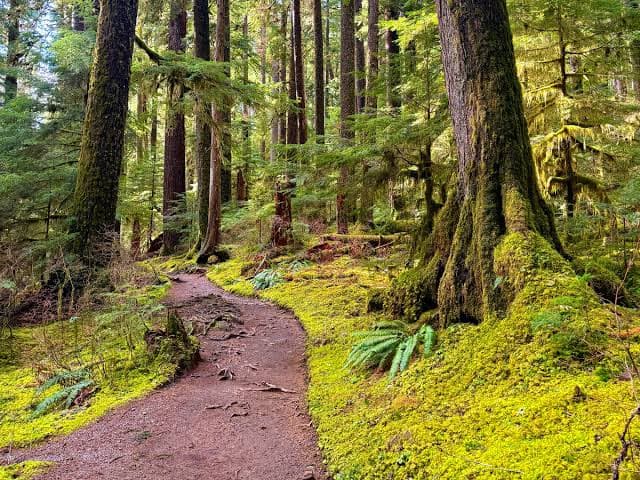 Kampos tou Livadiou Nature Trail